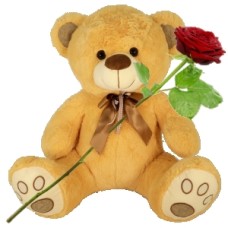 Brown teddy bear large approx. 60 cm (Large brown plush teddy bear approx. 60 cm + fresh red rose + 140 grams of chocolate hearts in red bonbons)